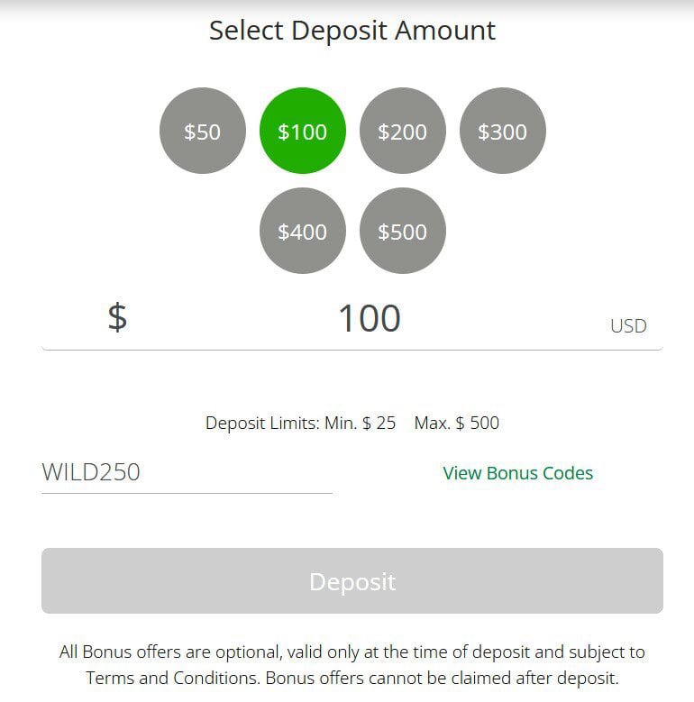 Wild Casino