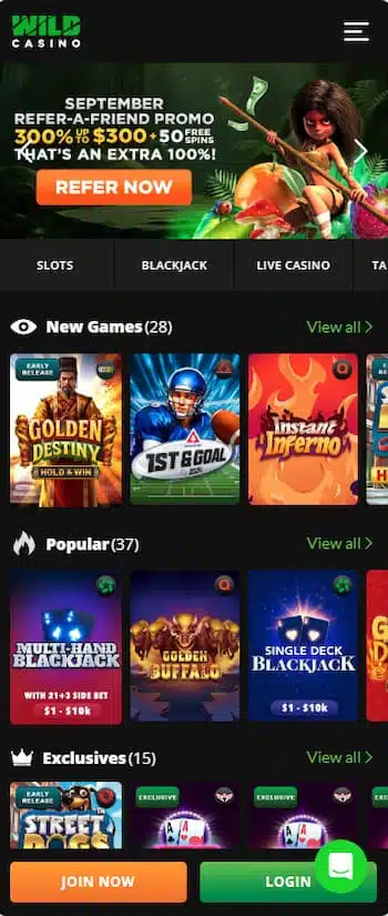 Wild Casino